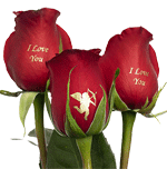 rose parlanti